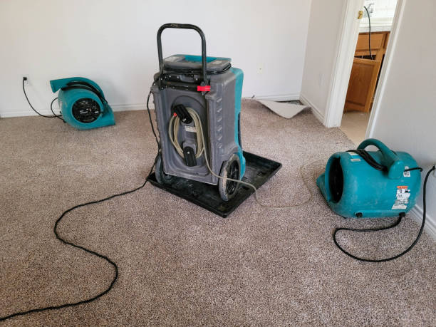 Best Fire Damage Restoration  in Spring Valley, WI
