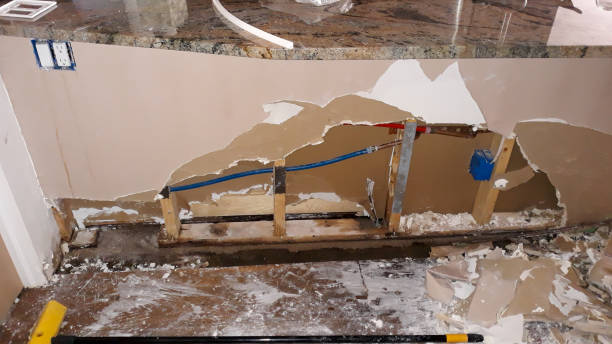 Best Water damage contractors near me  in Spring Valley, WI