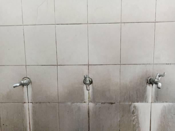 Best Professional water damage repair  in Spring Valley, WI