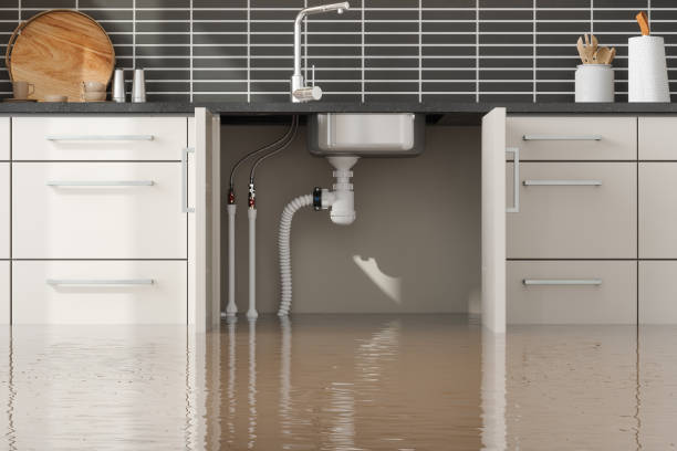 Best Residential water damage restoration  in Spring Valley, WI