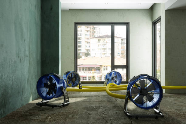Best Water damage cleanup near me  in Spring Valley, WI