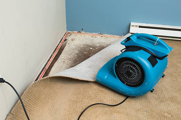 Best Commercial water damage restoration  in Spring Valley, WI