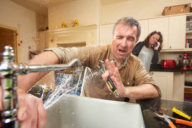 Best Water damage cleanup near me  in Spring Valley, WI